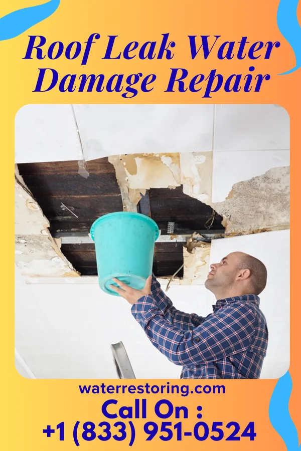 Roof Leak Water Damage Repair in Baytown, TX
