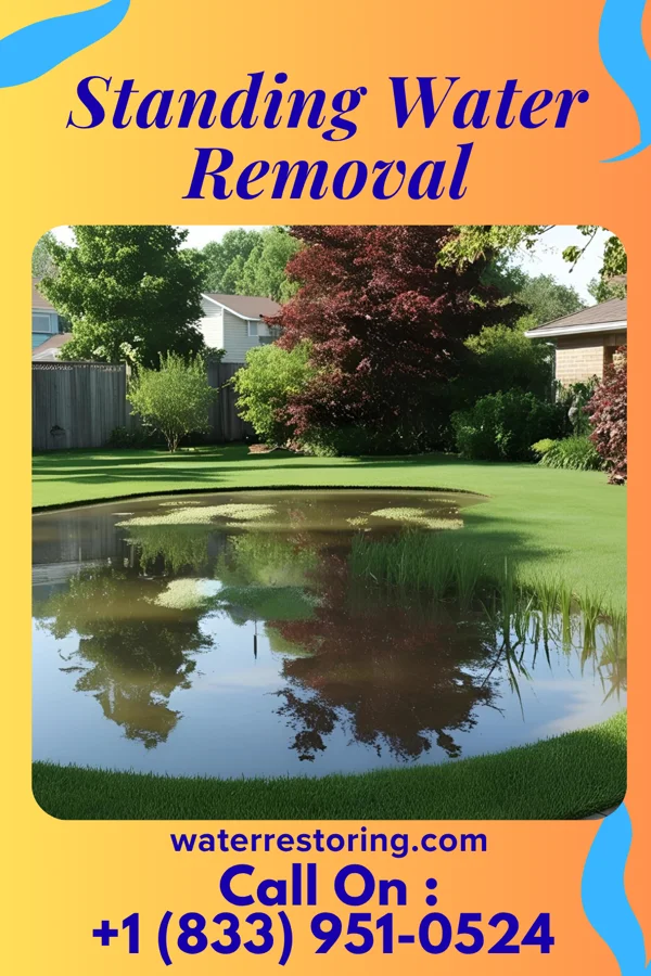 Standing Water Removal in Baytown, TX